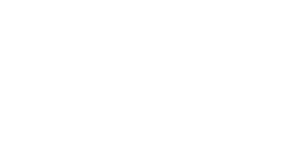 Bailey's Sweeper Service